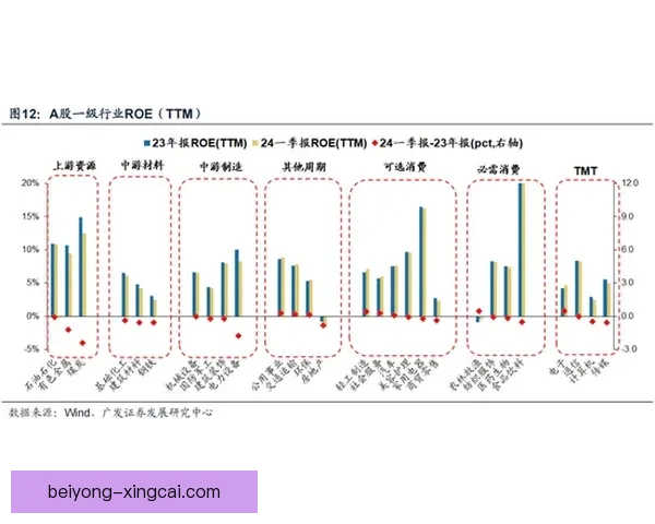 伯明翰足球俱乐部老板的经营策略与未来发展全解析